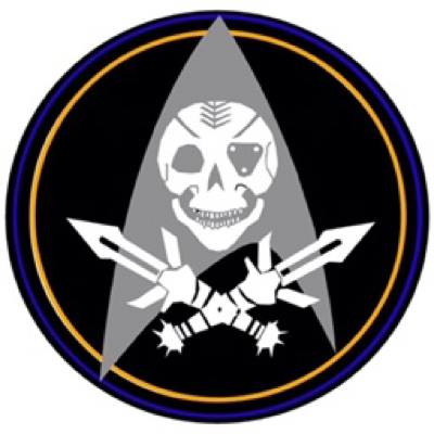 Fleet Jolly Roger Squadron.jpg