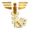 Starbase Medical Pro Bonus-ICON.png