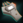 TridentScanner.png