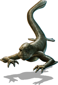 Xindi-Aquatic Councilor Full.png