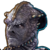 Ixtana'Rax Head.png