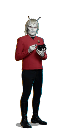 Chief Engineer Hemmer
