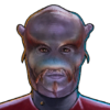 Ensign Hoya Head.png