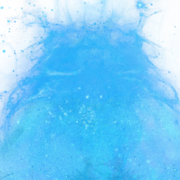 The Pahvan Head.png