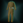 BrainlessSpocksUniform.png