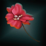 SirannasFlower.png