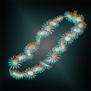 TylersLei.png