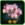 OrchidsUncommon.png