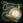 AncientWatch.png