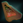 DominionPADD.png
