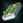 Airponics.png