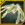 Schematics The Scimitar.png
