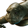 Xindi-Aquatic Councilor Head.png