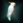 LadyBeverlysCockatoo.png