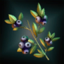 StreamsideBerries.png