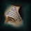 ChakotaysTattoo.png