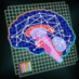BrainCircuitryPattern.png