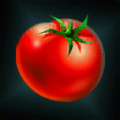 NepentheTroisTomato.png