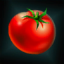 NepentheTroisTomato.png