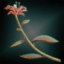 EuphoricFlowers.png