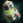 GravitonEmitter.png