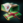 AdirasGift.png