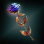 ChameleonRose.png