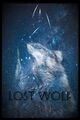Fleet Coastal Trekkers Squad Flag Lost Wolf.jpg