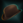 Bowler.png