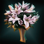 MaggiesLilies.png