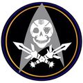 Fleet Jolly Roger Squadron.jpg
