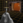CamelotHoloprogram.png