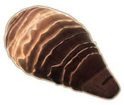 Gomtuu.png