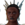 Queen Neve Head.png