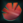 MaquisEmblem.png
