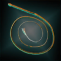 KirksWhip.png
