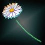 KirasFlower.png