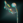 BareilsEarring.png