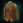 GrebnedlogsOutfit.png