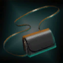 ConcerningFlightJanewaysBag.png