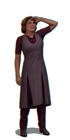 Concerning Flight Janeway