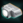 PalmBeacon.png