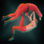 JudoTechnique.png