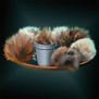 KirksTribbleTray.png