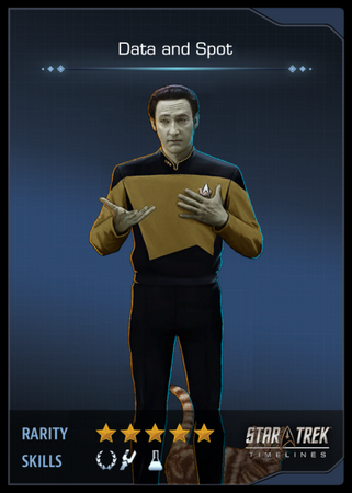 Data and Spot Card