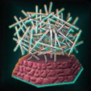 KalToh.png