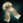 AviatorScarf.png