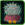 KalTohUncommon.png