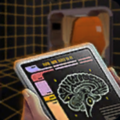 PsychologicalEvaluationHoloprogram.png