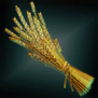 BundleofStraw.png